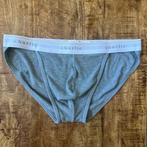 Charlie Blue Men's Briefs